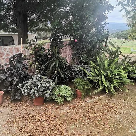 Сasa de vacaciones Casa El Tio Juan Cumbres de San Bartolomé