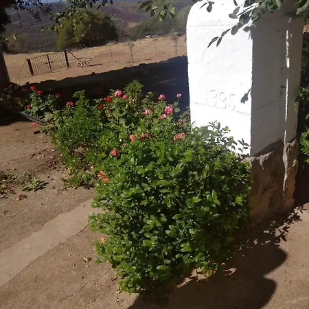 Casa El Tio Juan *