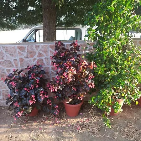 Casa El Tio Juan Holiday home *