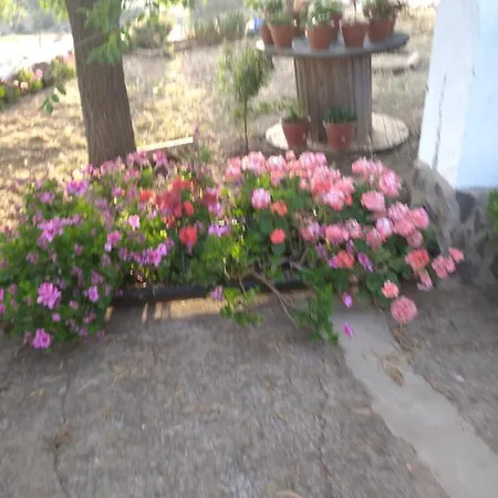 Casa El Tio Juan Holiday home *